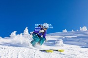 竞技宝平台_体育产业迎来新机遇，政策支持与市场需求双轮驱动