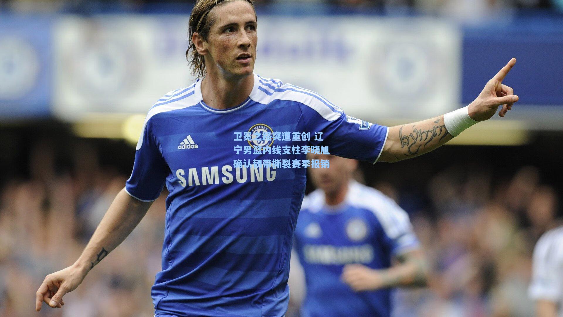 卫冕之路突遭重创 辽宁男篮内线支柱李晓旭确认韧带撕裂赛季报销